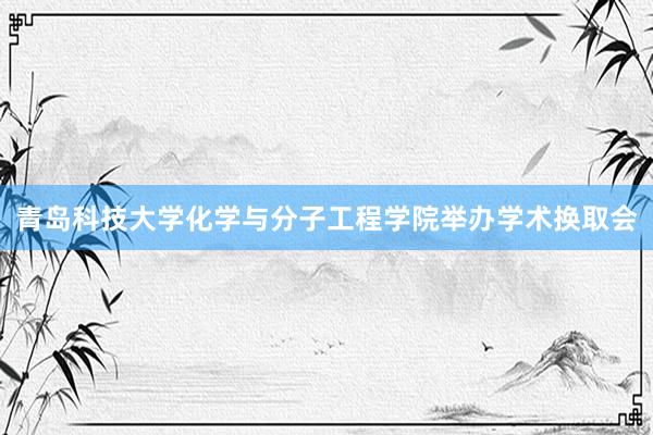 青岛科技大学化学与分子工程学院举办学术换取会